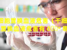 干细胞置换血液危害（干细 🐛 胞置换血液危害有 🌺 哪些）